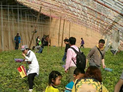 水利学院工会组织教职工到崛围山健身