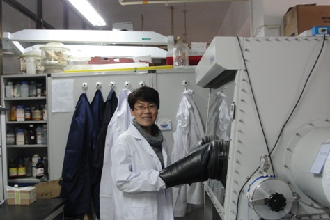 材料科学与工程学院-陈少平 材料科学与工程学院-陈少平