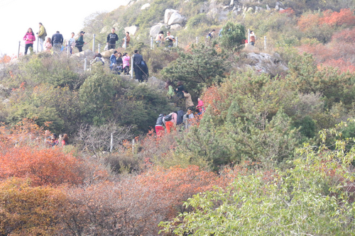机械工程学院工会组织教职工会员赴崛围山秋游