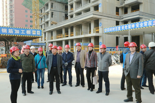校工会组织教代会代表巡视在建教职工住宅