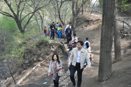 登山望远 健体舒心——外国语学院工会开展登蒙山踏青活动